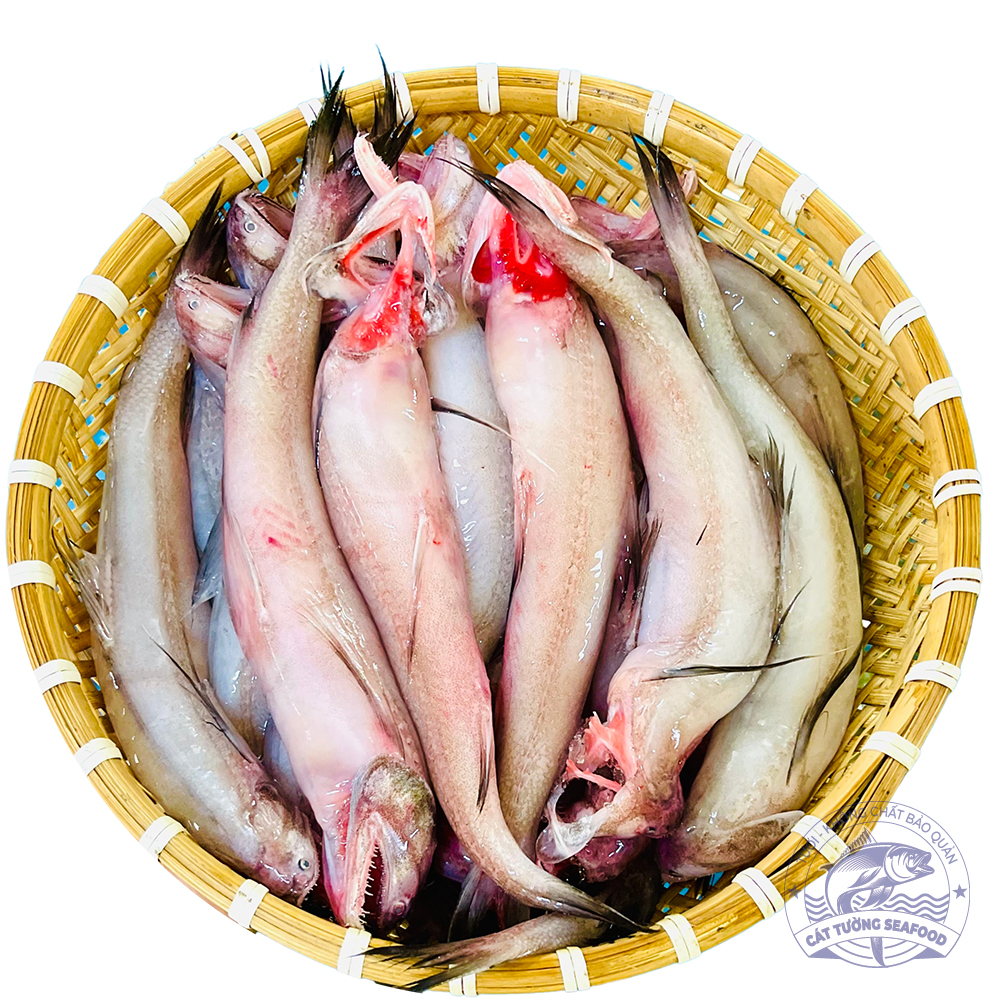 Cá khoai (500gram)